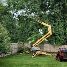 Best Tree Risk Assessment  in Drexel Hill, PA