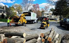 Best Sod Installation  in Drexel Hill, PA